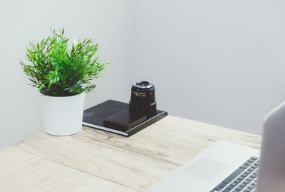 potted plant next to a lens