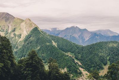 woody mountain slopes