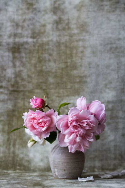 pink floral arrangement against grey backdrop