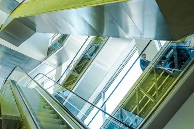 escaltors in a building