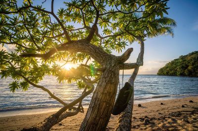 tropical paradise near water