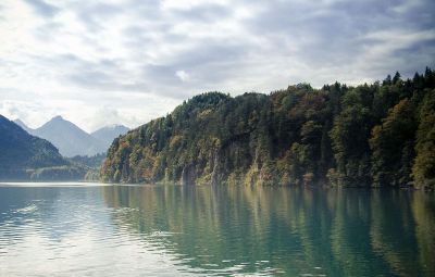 lake surrounded by trees and mountains