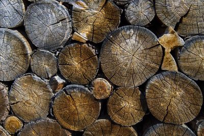 wood logs