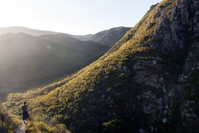 person standing in valley