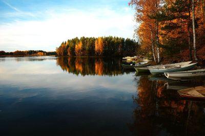 boats on the dock