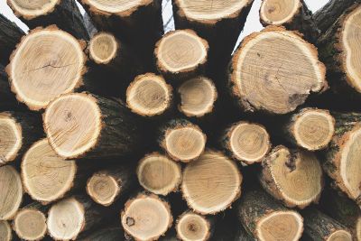 cut logs stacked on each other