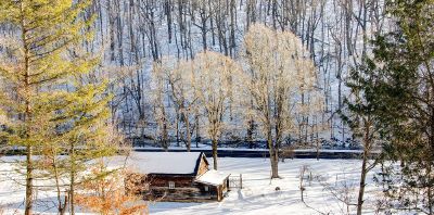 log cabin in wilderness