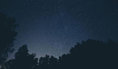 night sky over trees