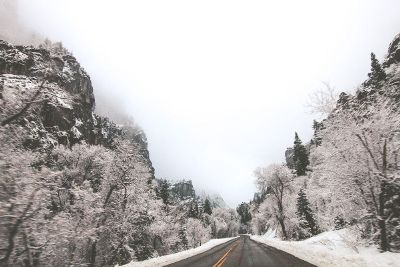 road passing through snow fall area of jungle