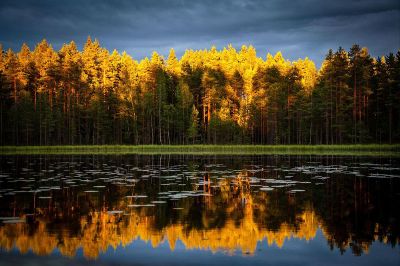 fall colors on the lake