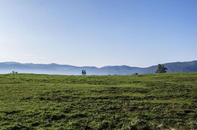 two persons stand in grass