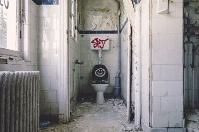happy toilet