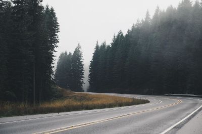 foggy roadway