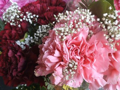 pink carnation bouquet