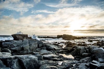 sea shore with many rocks