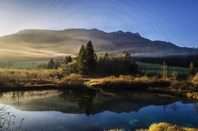 mountain and trees by water