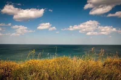 blue skies by the ocean or lake