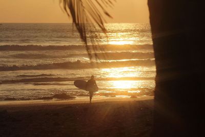 beach surfer at sunset
