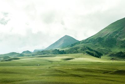 grassy hills