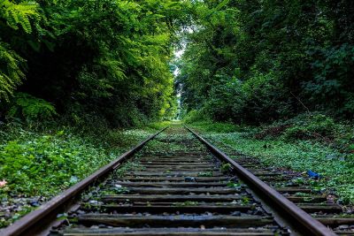 railroad tracks in the forest