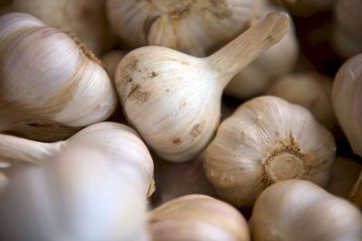 cloves of garlic