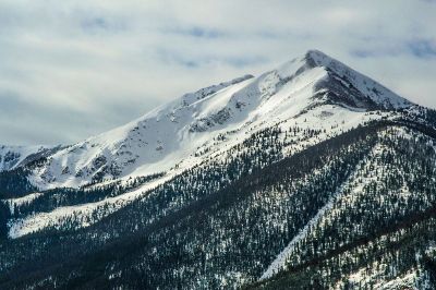 sky view of mountain and trees