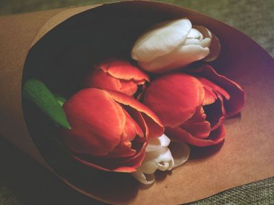 tulips in a bouquet