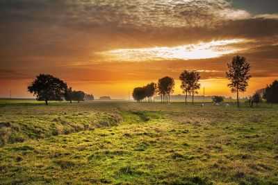 sunset on a farm