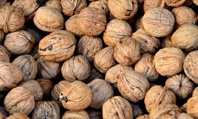 a bunch of walnuts