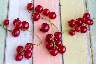 cranberries on the table