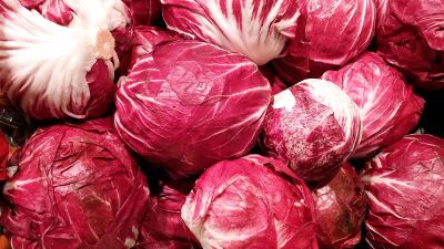 red colour cabbage