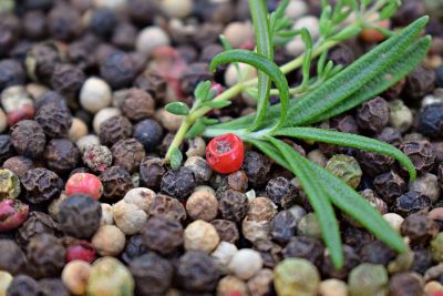 drying peppercorns