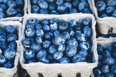 blue berries for sale