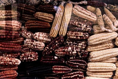 various corn