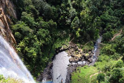 waterfall in a jungle