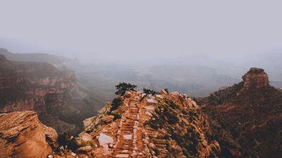 foggy mountain trail