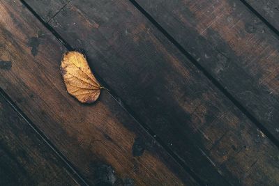 leaf on deck