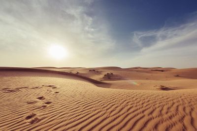 barren desert