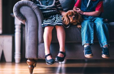 dog on sofa between kids