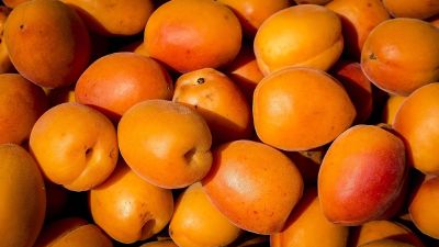 orange mangoes