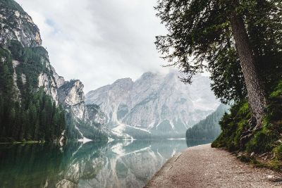 lake in forest