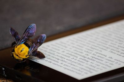 bee on book
