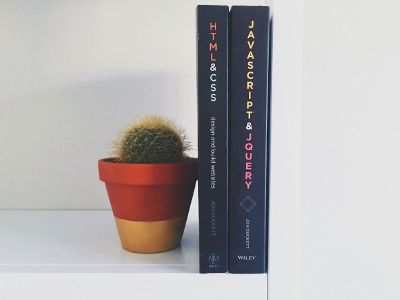 books and cactus on a shelf