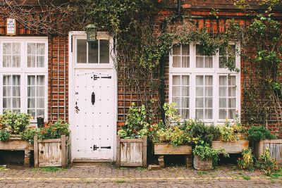 door covered in ivy