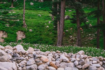 rocks on the hillside