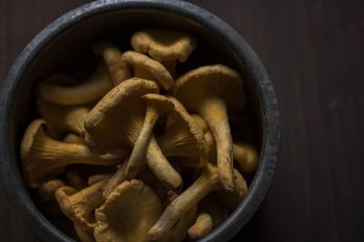 mushrooms in a mortar