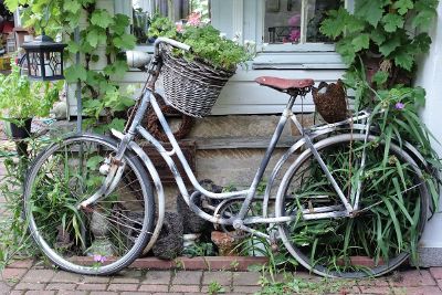 bike parked next to garden