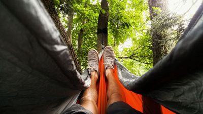 forest feet