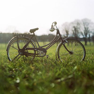 bike in the grass