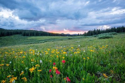 sunset over green field